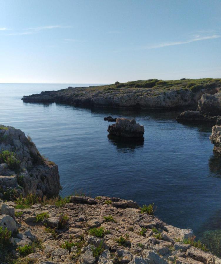 Poesia Del Mare
